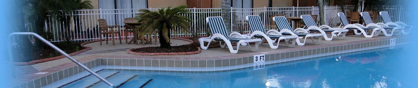 Florida Vacation Pool